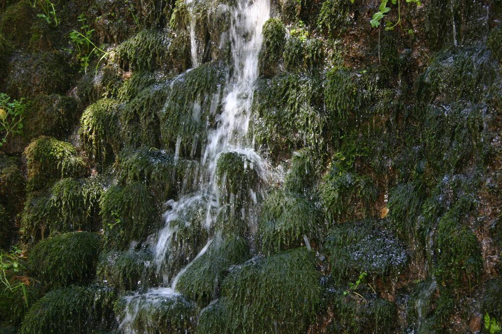 Alojamiento Rural Sierra De Gudar Valbona Екстер'єр фото